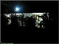 Mahonylaan - nr. 0113